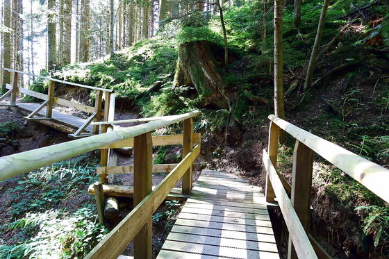 Holzsteg am Horn Südberge Hölzerner Steg mit Geländer auf einem Waldweg.