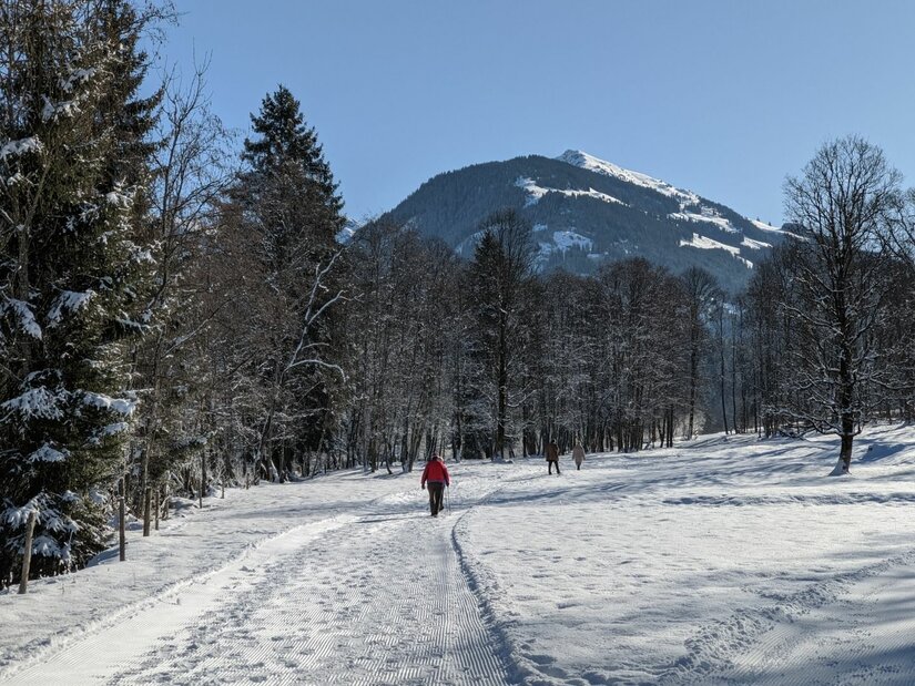 Winterwanderweg Achenweg Aurach Person auf einem verschneiten Wanderweg vor einem bewaldeten Berg unter blauem Himmel.