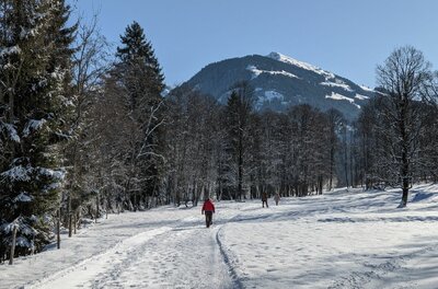 Winterwanderweg Achenweg Aurach Person auf einem verschneiten Wanderweg vor einem bewaldeten Berg unter blauem Himmel.