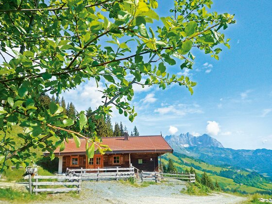 Wirtsalm_Huette1 Ein malerisches, rustikales Holzhaus in den Bergen. Im Hintergrund sind grüne Hügel und majestätische Berge zu sehen.