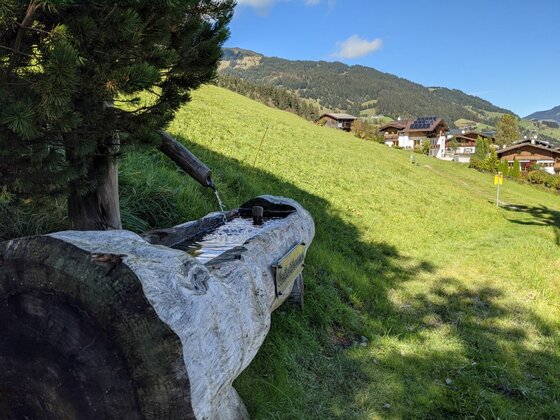 Jochberger 7-Brunnenweg Ein Brunnen aus einem ausgehöhlten Baumstamm auf einer grünen Wiese vor Bergkulisse.