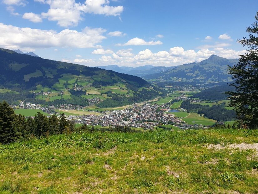Blick vom Gaisberg ins Tal Blick von einer Almwiese auf eine Ortschaft im Tal, umgeben von bewaldeten Bergen unter blauem Himmel.