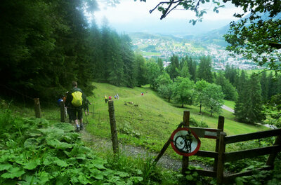 Wanderweg bei der Seidlalm Wanderer auf einem schmalen Pfad neben einem Holzzaun mit Blick auf eine Wiese und ein Tal.