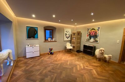 Galerie Frank Fluegel Ein helles Zimmer mit Holzboden, Kunstwerken an den Wänden und zwei kleinen Hunden. In der Ecke steht ein Bücherregal und ein weiterer Stuhl.