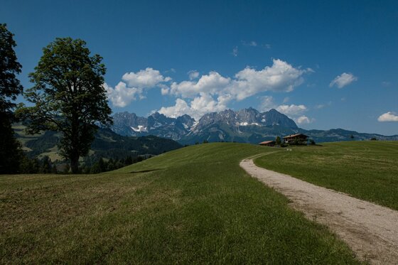 Reither Trail mit Gebirgsblick Schotterweg auf einer grünen Almwiese mit Blick auf ein schroffes Gebirgsmassiv unter blauem Himmel.