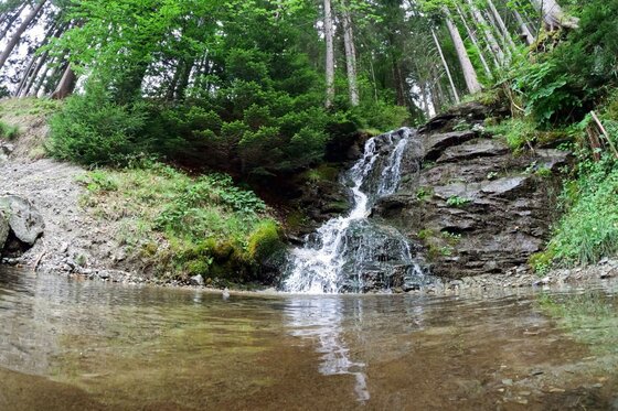 Wasserfall am Schützkogel Alpinsteig Ein kleiner Wasserfall fließt über dunkles Gestein in ein flaches Wasserbecken im Wald.