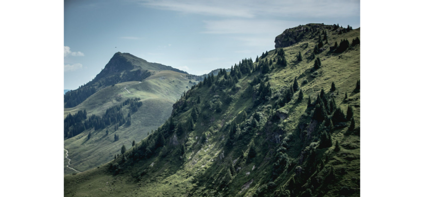 Grüne, bewaldete Berghänge unter blauem Himmel in den Kitzbüheler Alpen.