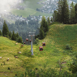 Seilbahngondeln über Almwiesen mit Kühen, umgeben von Wald in Kitzbühel.