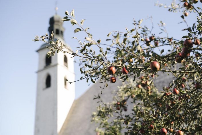 Apfelbaum vor Kirche