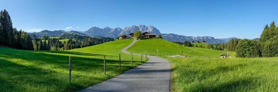 Bio Yoga Hof Kitzbühel Panorama Asphaltierter Weg führt über grüne Wiesen zu einem Bauernhof vor einem Gebirgsmassiv unter blauem Himmel.