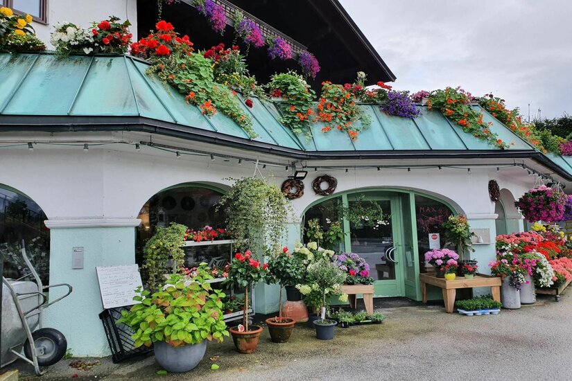 Blumen Vitez Eingangsbereich eines Blumengeschäfts mit zahlreichen Topfpflanzen und blumengeschmücktem Vordach.