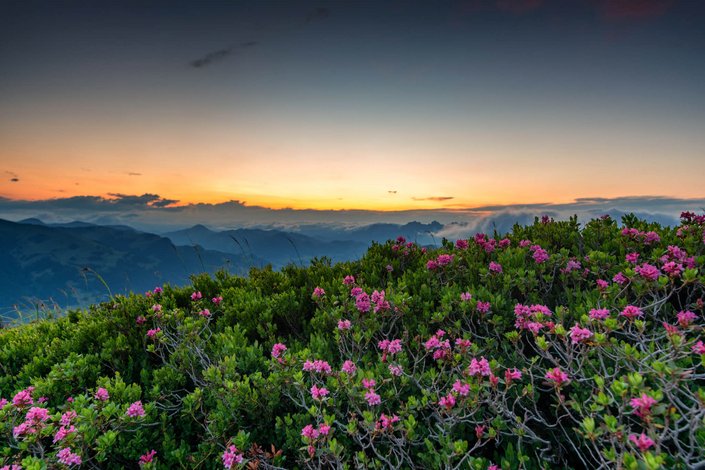 Sonnenuntergang am Berg