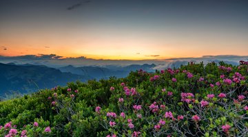 Sonnenuntergang am Berg