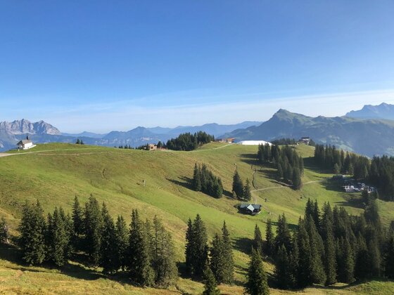 Almlandschaft der Vier-Seen-Wanderung Grüne Almwiesen mit vereinzelten Hütten, Nadelbäumen und Berggipfeln unter blauem Himmel.
