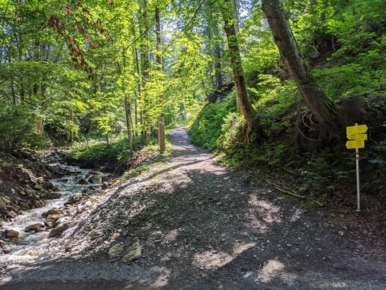 Wanderweg am Bachlauf Schotterweg im Wald neben einem Bachlauf mit gelben Wegweisern.