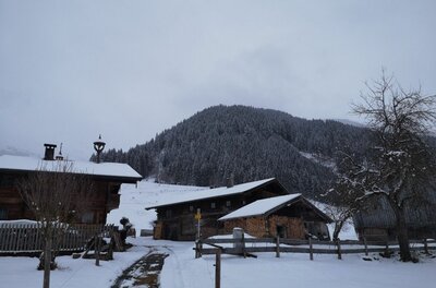Winterliche Almsiedlung am Auweg Verschneite Holzhäuser vor einem bewaldeten Berg unter grauem Himmel.