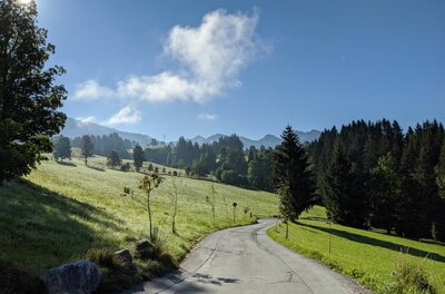 Waldweg Hagstein Asphaltierter Weg führt durch grüne Wiesen und Nadelwald unter blauem Himmel.
