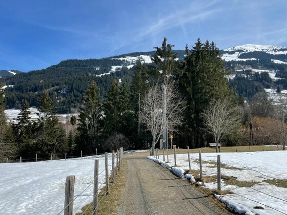 Schotterweg zwischen schneebedeckten Wiesen mit Holzzaun und Blick auf bewaldete Berge.