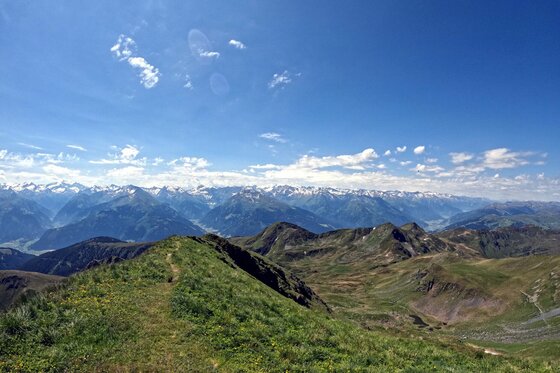 Wanderweg am Geisstein Schmaler Wanderpfad auf einem grünen Gebirgskamm mit Blick auf schneebedeckte Alpengipfel unter blauem Himmel.