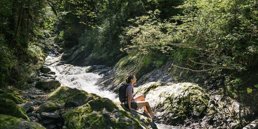 A person sitting quietly in the woods