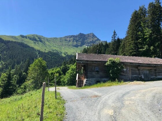 Almhütte am Harschbichl Holzhütte an einem Schotterweg vor bewaldeten Bergen unter blauem Himmel.
