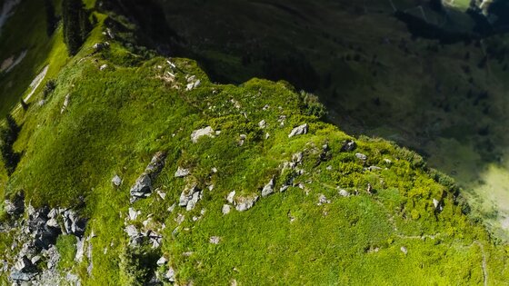 Draufsicht auf einen grünen, grasbewachsenen Gebirgsgrat mit vereinzelten Felsen.