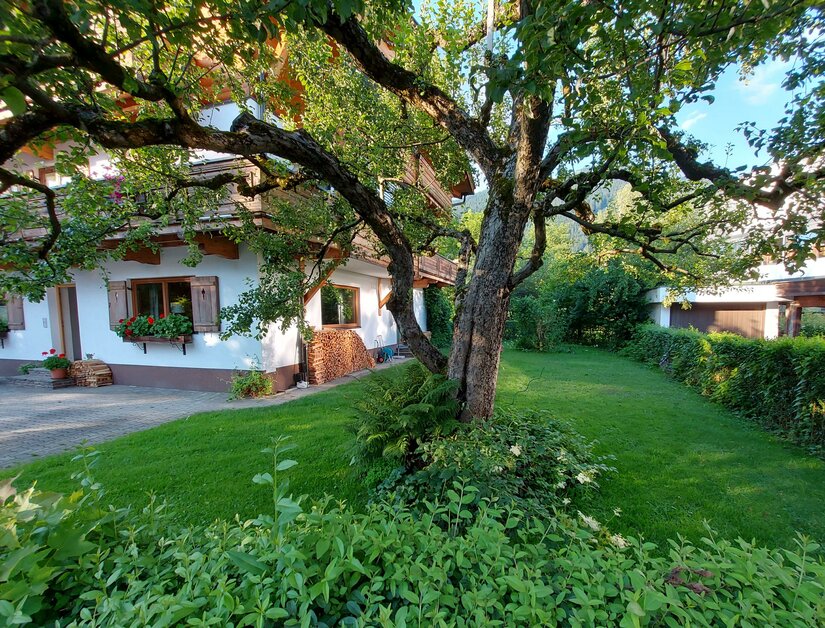 Garten der Ferienwohnung Ritter Ein Wohnhaus mit weißer Fassade, Holzbalkonen und einem großen Baum im grünen Garten.