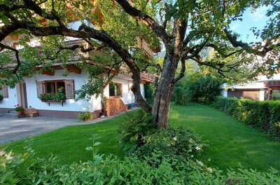 Ein Wohnhaus mit weißer Fassade, Holzbalkonen und einem großen Baum im grünen Garten.
