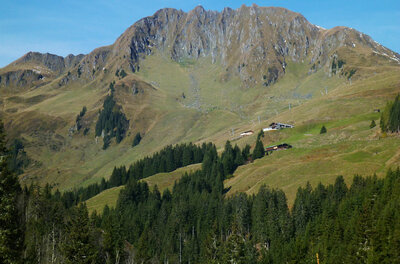 Trattenbachalm mit Berggipfel Blick auf einen grasbewachsenen Berggipfel mit Felswänden, Nadelwald im Vordergrund und Almhütten am Hang.