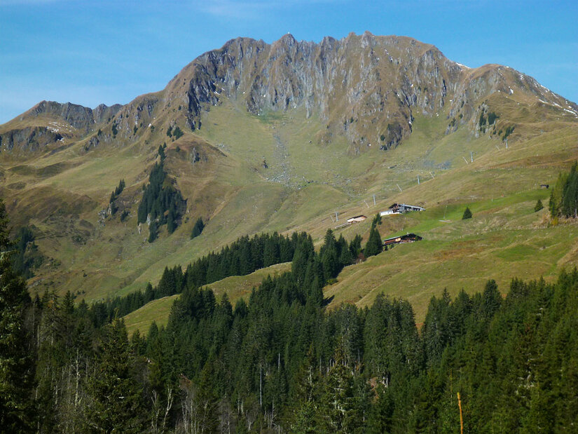 Trattenbachalm mit Berggipfel Blick auf einen grasbewachsenen Berggipfel mit Felswänden, Nadelwald im Vordergrund und Almhütten am Hang.
