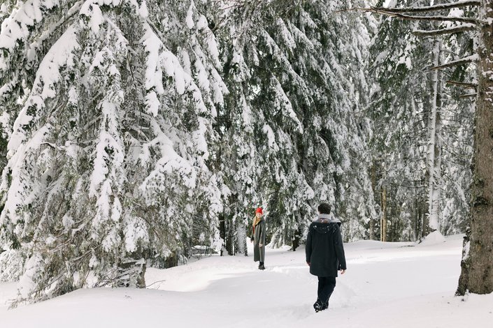 A couple goes winter hiking in the snowy fir forest