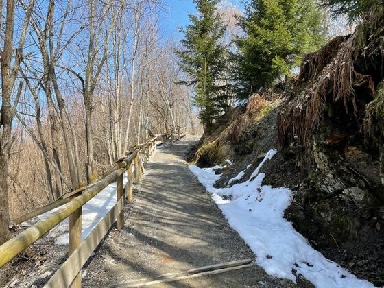 Wanderweg der Schwimmbadrunde Ein befestigter Wanderweg mit Holzgeländer führt durch einen lichten Wald mit Schneeresten am Wegrand.