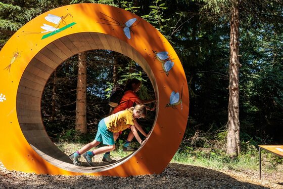 Zwei Kinder spielen in einem großen, orangefarbenen Holzrad an einem Waldrand.