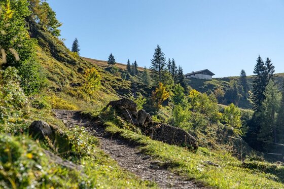 Wanderweg zum Kitzbüheler Horn Schmaler Wanderweg führt einen grasbewachsenen Hang hinauf zu einer Almhütte unter blauem Himmel.
