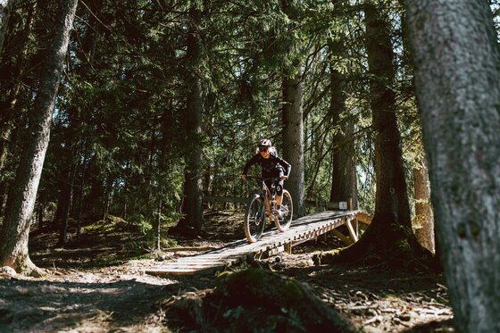 Mountainbiken auf dem Fleck Trail Mountainbikerin fährt über eine Holzrampe auf einem Waldtrail.