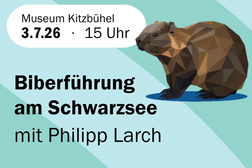 Biberführung Eine Ankündigung für eine Biberführung am Schwarzsee. Das Event findet am 3. Juli 2026 um 15 Uhr statt und wird von Philipp Larch geleitet.