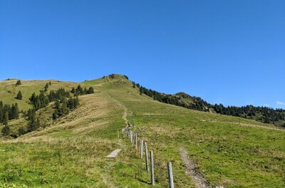 Aufstieg zum Stuckkogel Ein schmaler Wanderpfad führt über einen grasbewachsenen Bergrücken mit Weidezaun unter blauem Himmel bergauf.