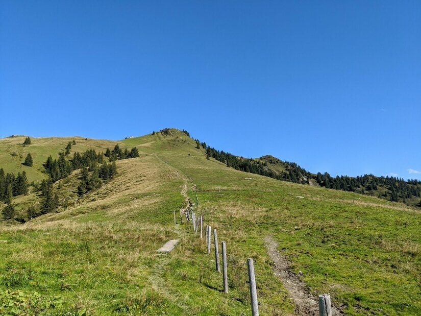 Aufstieg zum Stuckkogel Ein schmaler Wanderpfad führt über einen grasbewachsenen Bergrücken mit Weidezaun unter blauem Himmel bergauf.