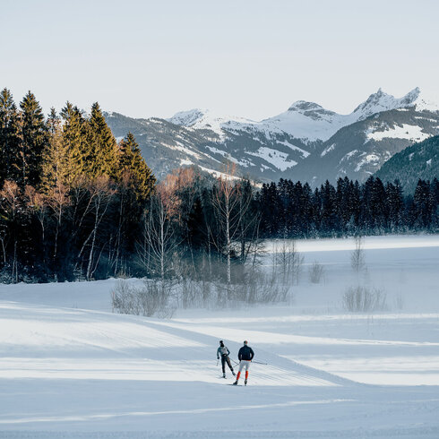 Zwei Skifahrer gleiten durch eine schneebedeckte Landschaft, umgeben von majestätischen Bergen und dichten Wäldern.