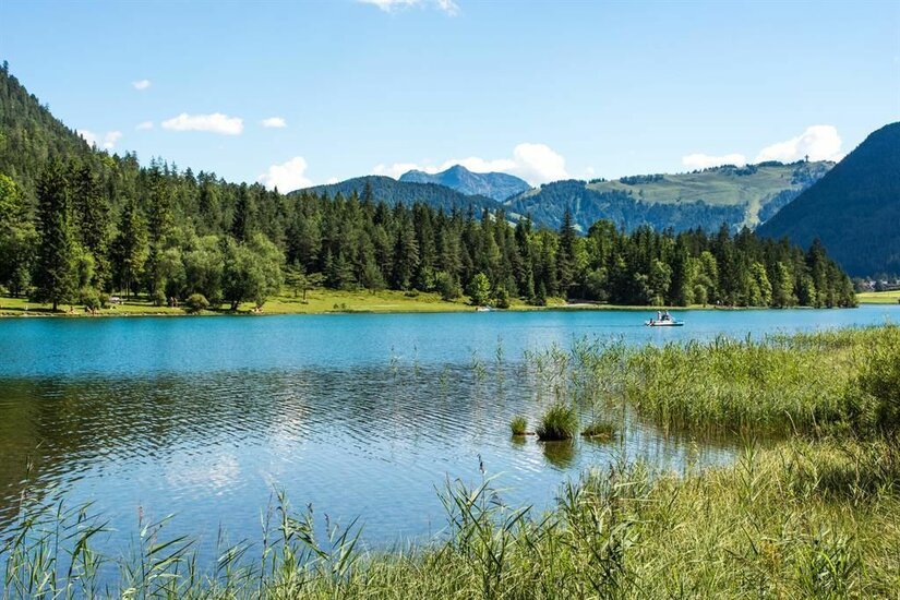 Pillersee Ein ruhiger See umgeben von grünen Wäldern und Bergen. Der Himmel ist blau und klar, ideal für einen entspannten Tag in der Natur.