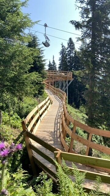 Sonnenrast Trail Holzsteg Ein hölzerner Steg führt durch einen Nadelwald, darüber verläuft ein Sessellift.