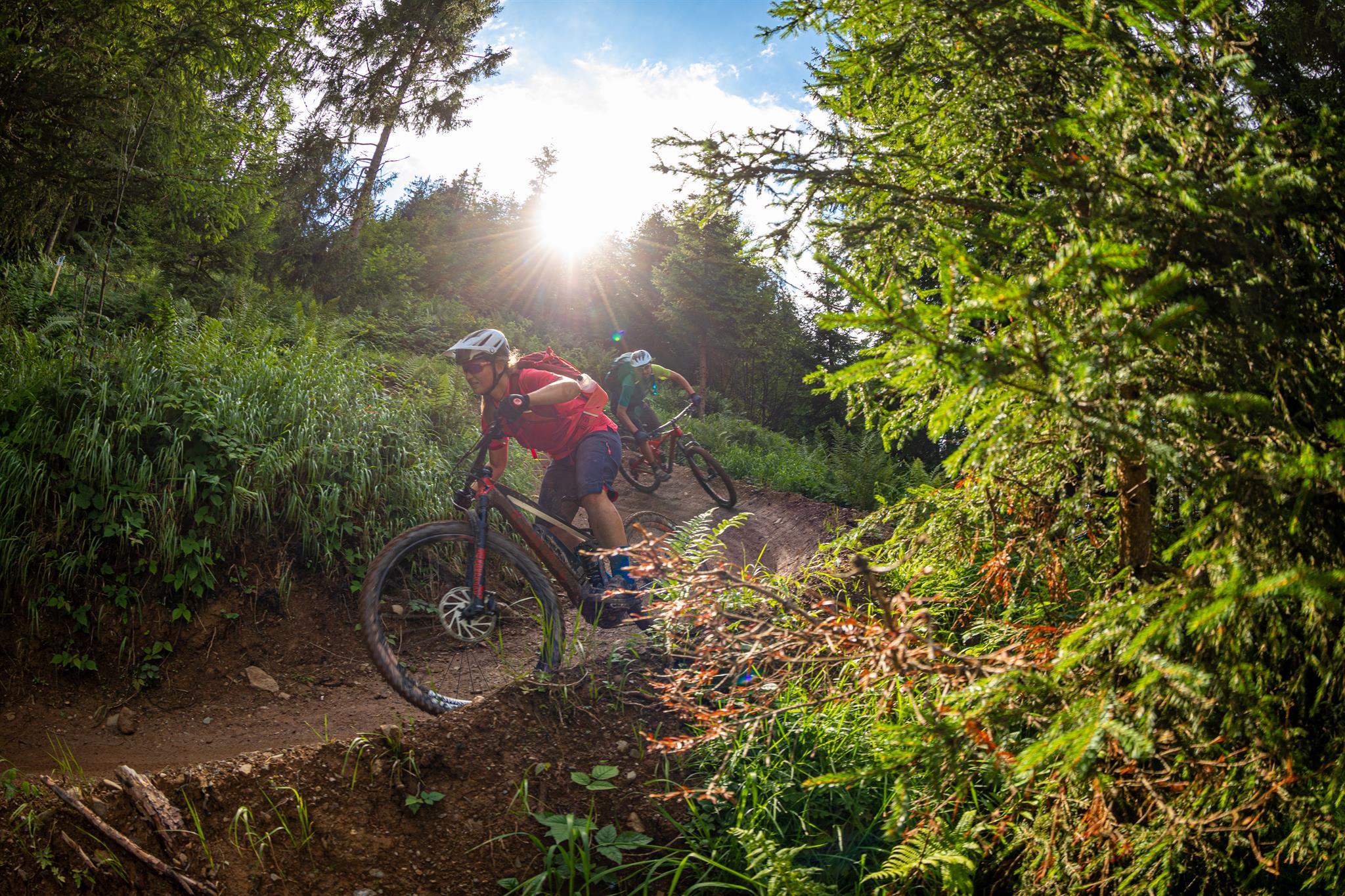 sattelstütze 26 1 LUOKEKE 26,8 27,2 28,6 30,4 30,8mm Ultraleicht MTB Fahrrad Sattelstütze Aluminium Legierung Mountainbike Sitzrohr Sattelstütze Zubehör SattelstüTzen(27.2x450mm) Sport & Freizeit shopping_active Shifter Bike Gear For Größe:57-62 (L)