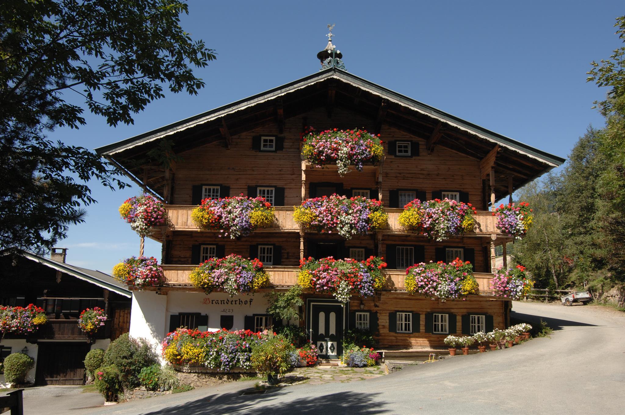 Gasthaus Hallerwirt Gasthaus Hallerwirt