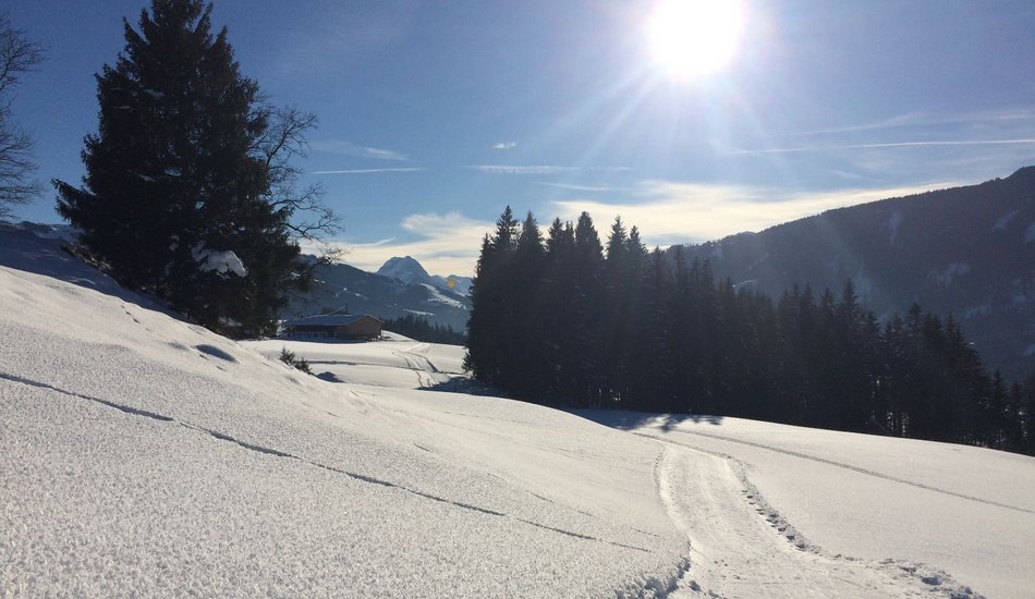 Bichlach" cross country ski track Kitzbühel Tourismus