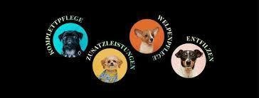 Doggrooming.jpg