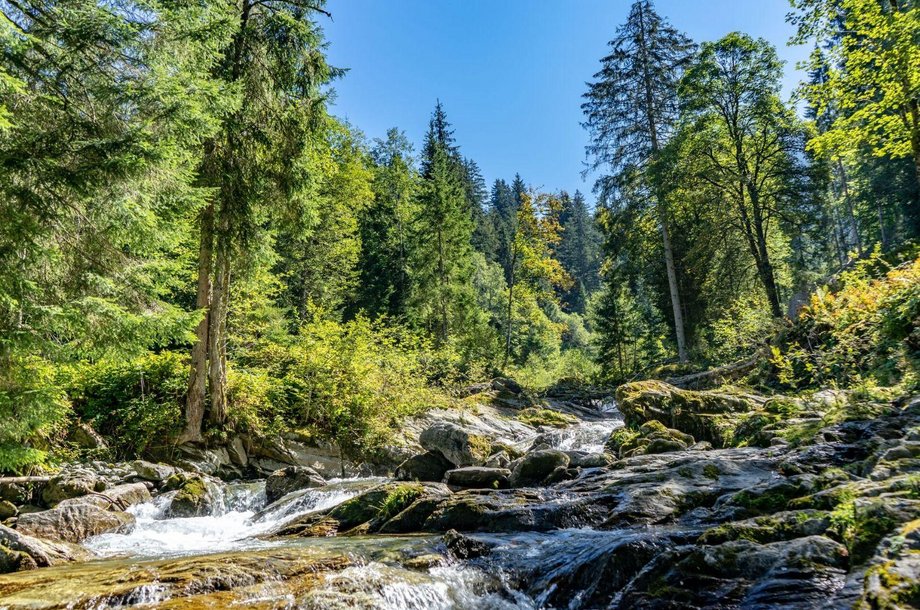 Sdberge-Herbst-Kitzbhel-Tourismus28jpg.jpg