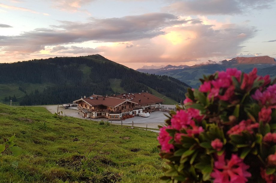 Sonnalm-Sommer.jpg