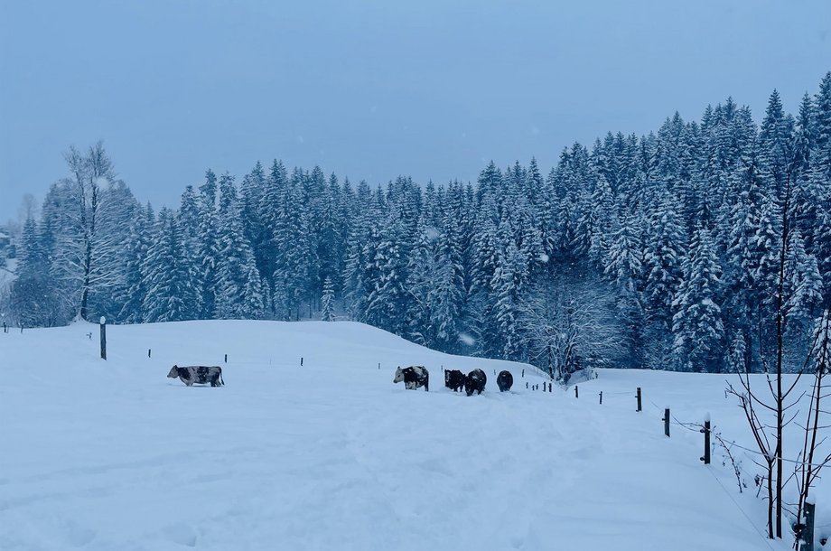 Kuhlinarik-Winter.jpg