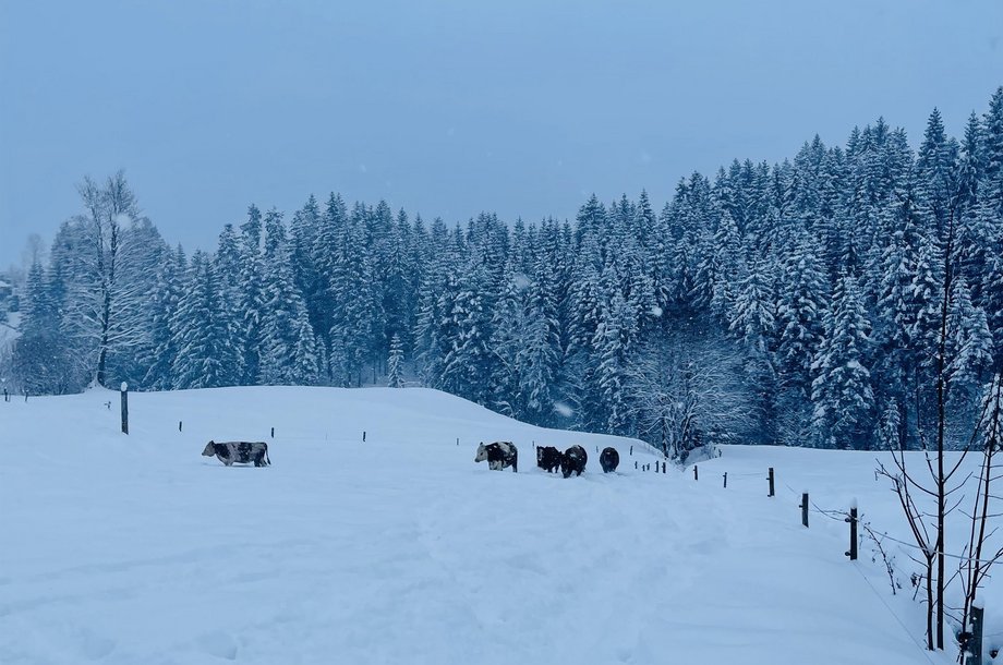 Kuhlinarik-Winter.jpg