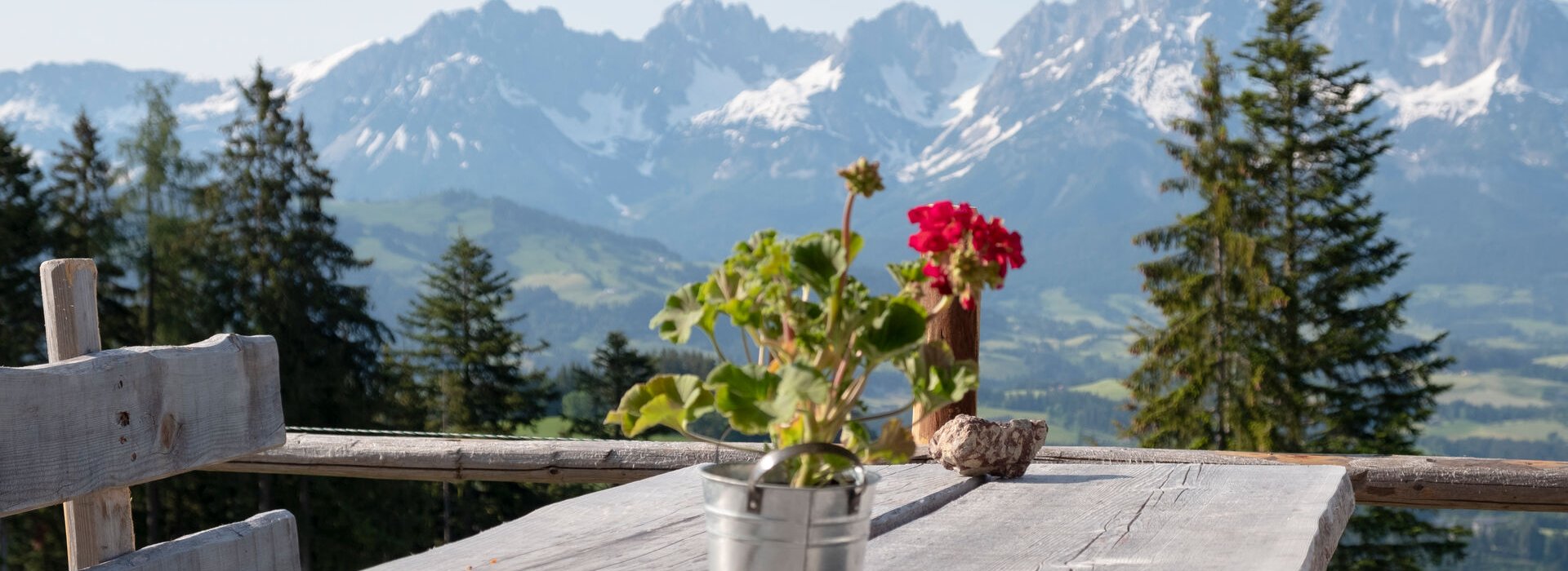 Berghütte Kitzbühel 